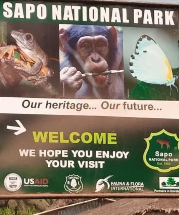 Sapo national park Basa Liberia